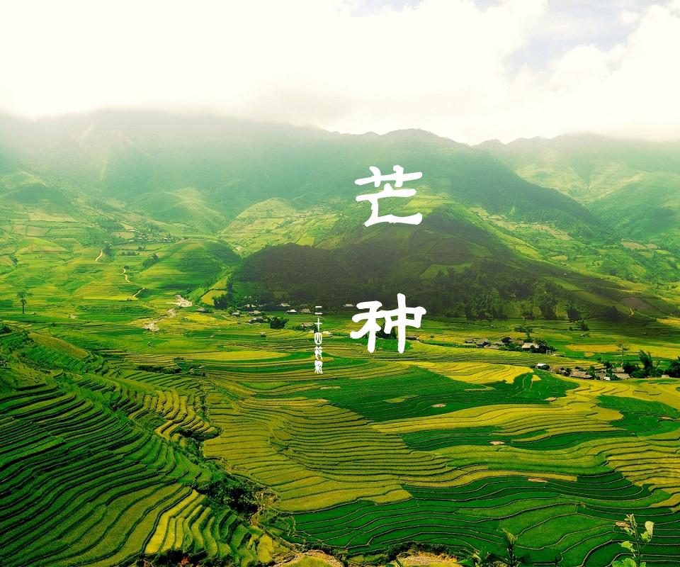 芒種|一體機(jī)伺服糾偏系統(tǒng)廠家愿您種下希望,收獲美好